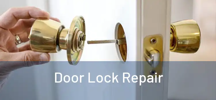 Door Lock Repair
